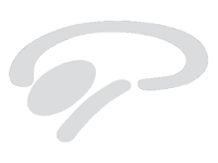 neurologo en salta